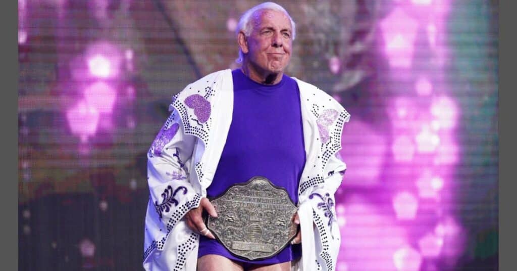 Ric Flair Career