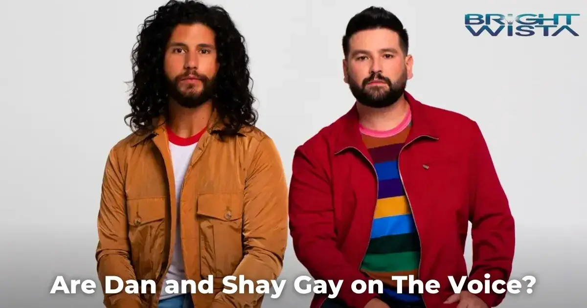 Are Dan and Shay Gay on The Voice?